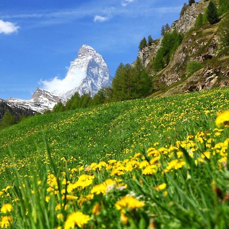 Apartment Kondor By Interhome Zermatt Esterno foto