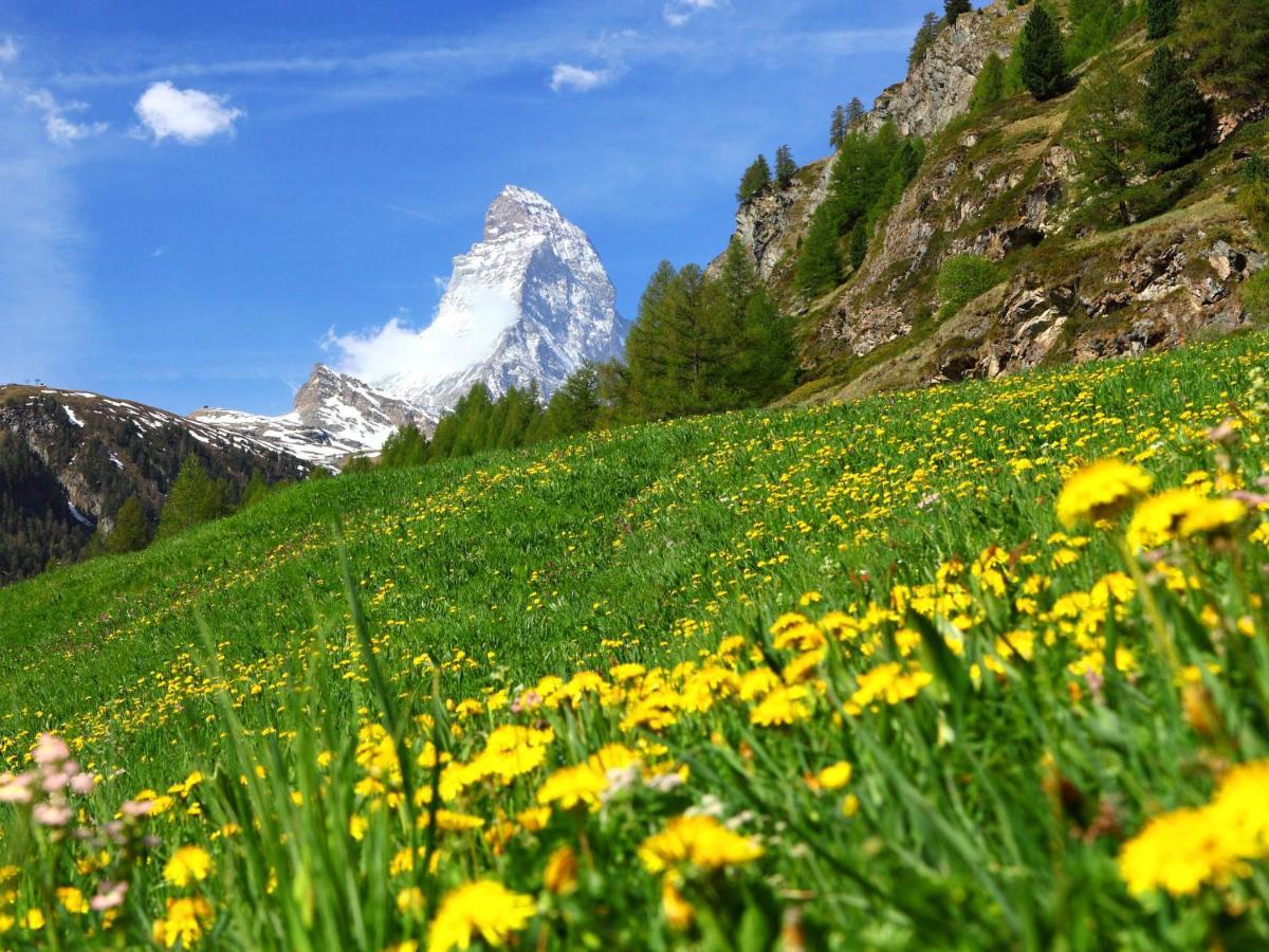 Apartment Kondor By Interhome Zermatt Esterno foto