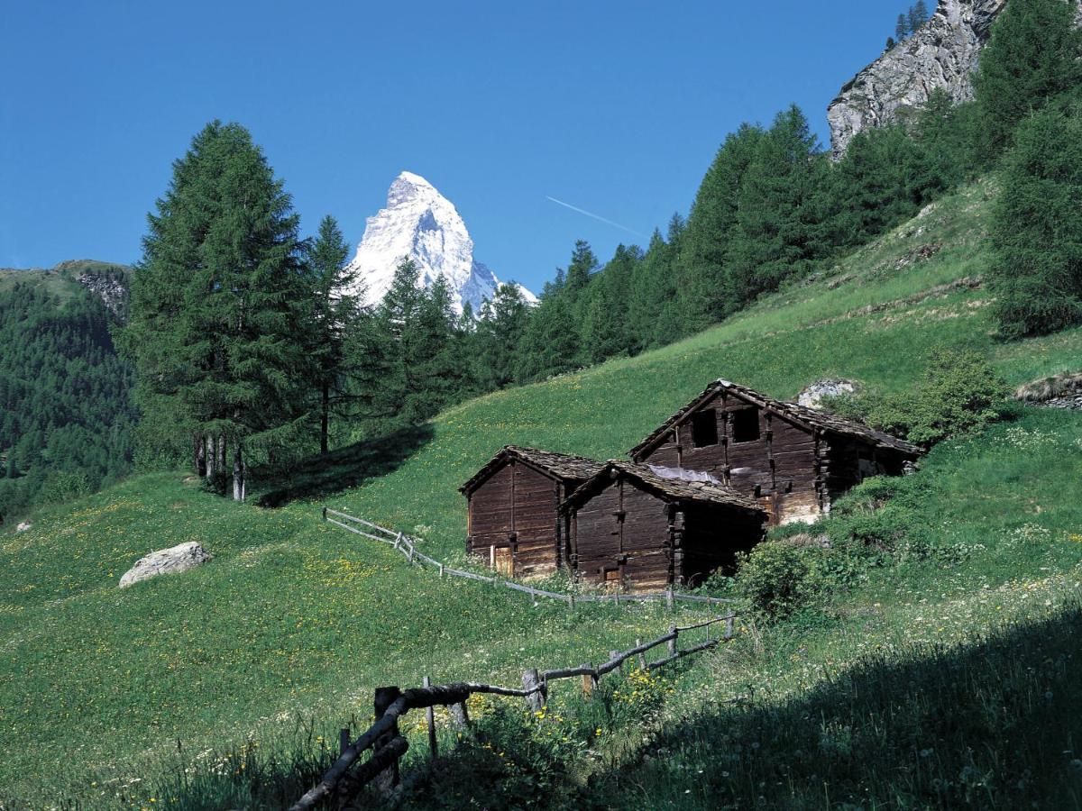 Apartment Kondor By Interhome Zermatt Esterno foto